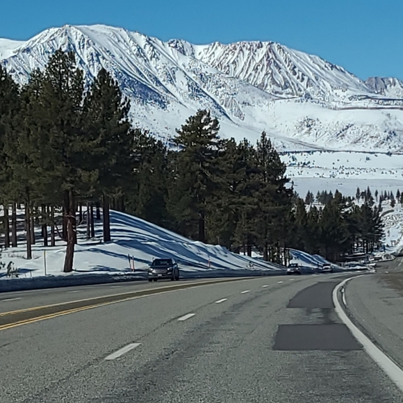 Meet your Posher, Marilee - Picture 11 of 14